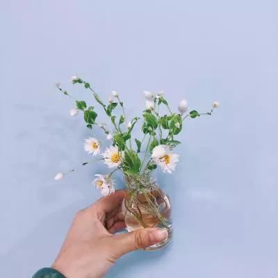 米乐网下载手机版